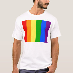 "VERTICALE RAINBOW STRIPES" T-SHIRT