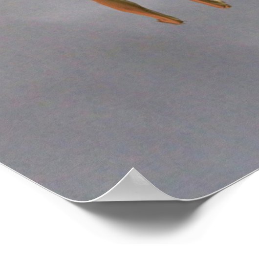 Vertigo Poster (Hoek)