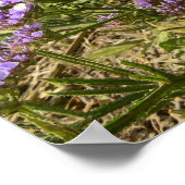 Vertrouw in de richting van je dromen poster (Hoek)