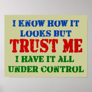 Vertrouw me - alles onder controle poster