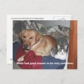 Vertrouwen Briefkaart (Voorkant / Achterkant)