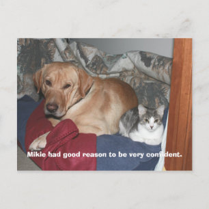 Vertrouwen Briefkaart