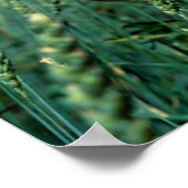 Vertrouwen Poster (Hoek)