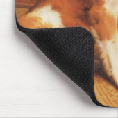 Vertrouwen van Charles Burton Barber, Saint Bernar Muismat (Hoek)