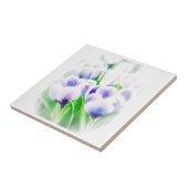 Vervagende krokus Tegel Tegeltje (Zijkant)