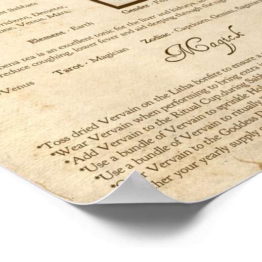 VERVAIN MAGICK HERB POSTER (Hoek)