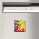 VERVALSINGEN VAN DE DAWN MAGNEET (Insitu (Vaatwasser))