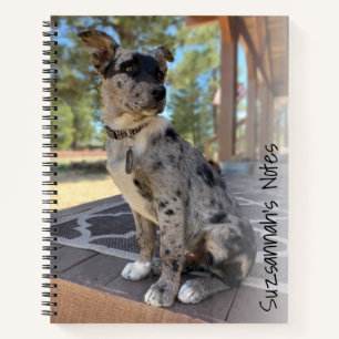 Vervangbare Schattige Cattle Dog Hoesje Foto Notitieboek