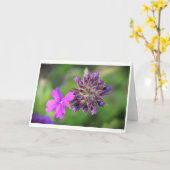 Verveine, carte (Fleur jaune)