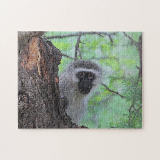 Vervet Monkey Legpuzzel (Horizontaal)