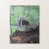 Vervet Monkey Legpuzzel (Verticaal)