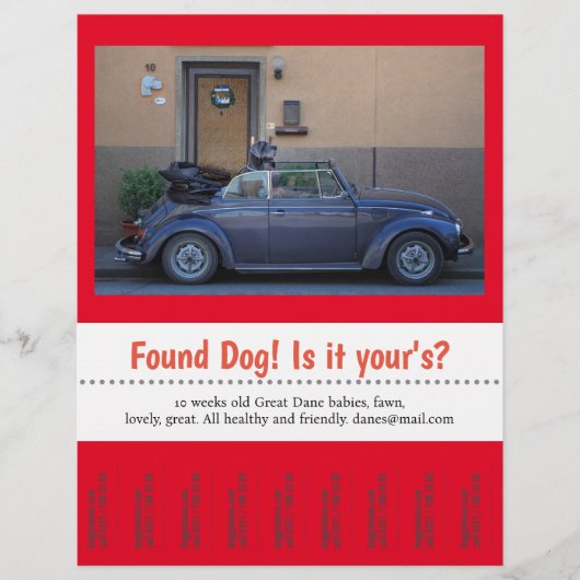 Vervlogen Hond Afscheur Flyer (Voorkant)