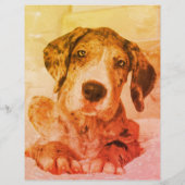 Vervlogen Hond Afscheur Flyer (Achterkant)