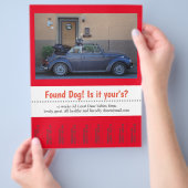 Vervlogen Hond Afscheur Flyer (Hand)