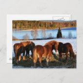 Vervoertijd Briefkaart (Voorkant / Achterkant)