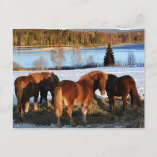 Vervoertijd Briefkaart