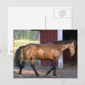 Vervoertijd Briefkaart (Voorkant / Achterkant)