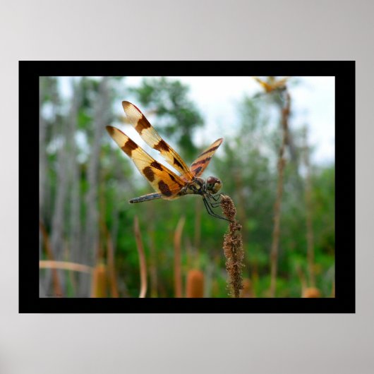 Vervoertijd Poster (Voorkant)