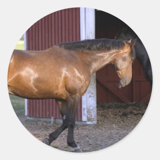 Vervoertijd Ronde Sticker (Voorkant)