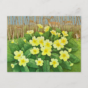 Verwachtend 2011 briefkaart