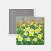 Verwachtend 2011 magneet (Voorkant / Achterkant)