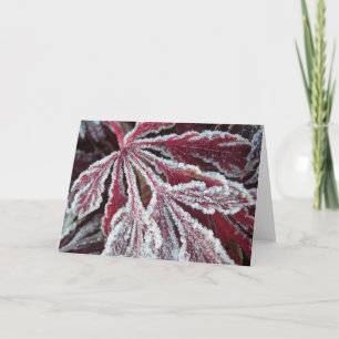 Verward ijzig blad kaart