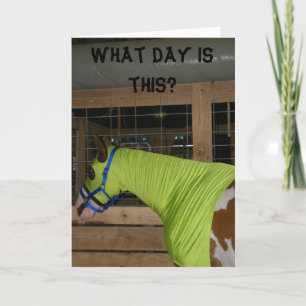 VERWARD PAARD VERJAARDAG KAART