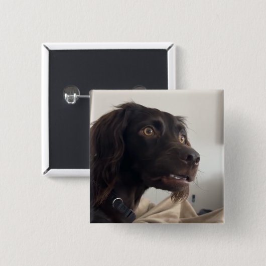 Verwarde Dog Meme Pin Button (Voorkant /achterkant)