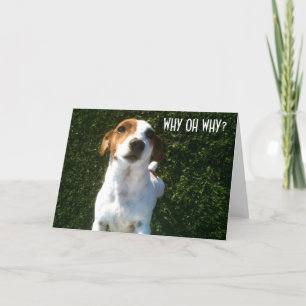 VERWARDE JACK RUSSELL "40ste" VERJAARDAG Kaart