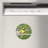 Verwarmde Warbler Magneet (Insitu (Vaatwasser))