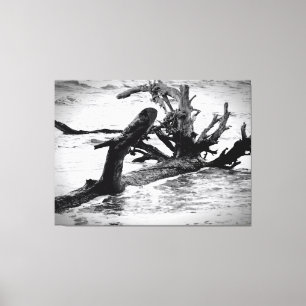 Verweerd drijfhout op de oever canvas afdruk