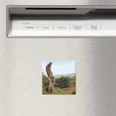 Verweerde boom in UK Peak District Magneet (Insitu (Vaatwasser))