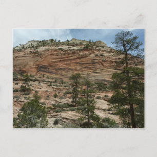 Verweerde rotswanden in Zion National Park Briefkaart