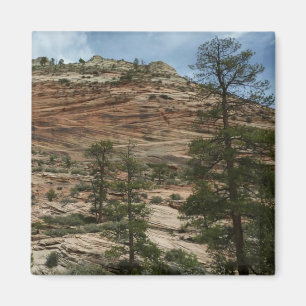 Verweerde rotswanden in Zion National Park Magneet