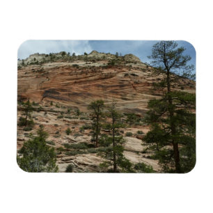 Verweerde rotswanden in Zion National Park Magneet