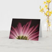 Verwelkte Paarse Daisy Kaart (Gele Bloem)