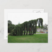 Verwerpen van een horrorfilm? briefkaart (Voorkant / Achterkant)