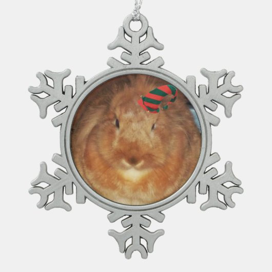 Verwerping van Bunny Rabbit Ornament (Voorkant)