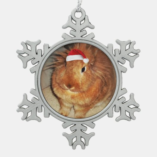 Verwerping van Bunny Rabbit Santa Ornament (Voorkant)