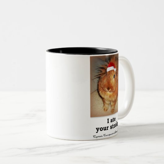 Verwerping van Bunny Rabbit Two Tone Mokken (Voorkant rechts)