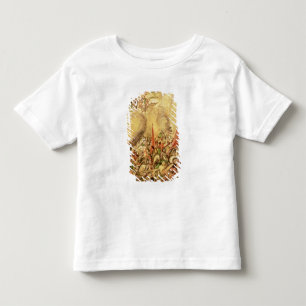 Verwerving van Mexico: De Spanjaarden die zich ter Kinder Shirts