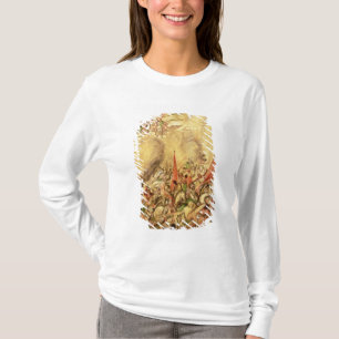 Verwerving van Mexico: De Spanjaarden die zich ter T-shirt