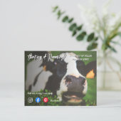 Verwijzing boerderij koe onroerend goed marketing  briefkaart (Staand voorkant)