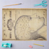 Verwisselingspapier voor apothekersmeubelen tissuepapier (Craft)