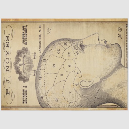 Verwisselingspapier voor apothekersmeubelen tissuepapier (Voorkant)