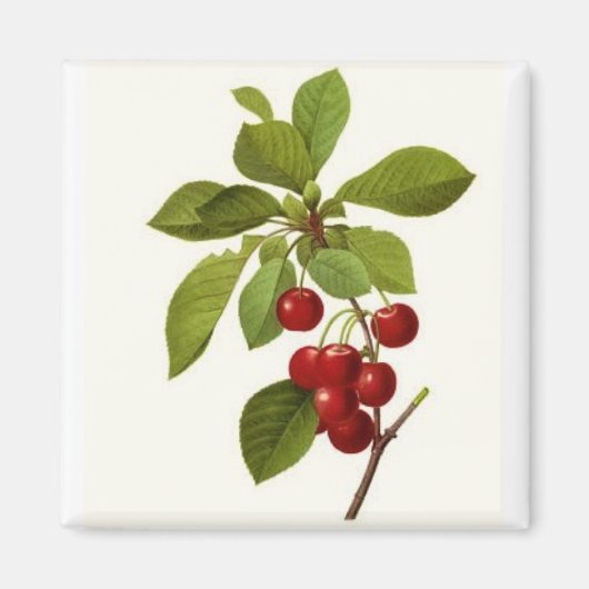 'Very Cherry' magneet (Voorkant)