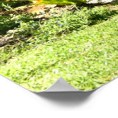 Verzachten Poster (Hoek)