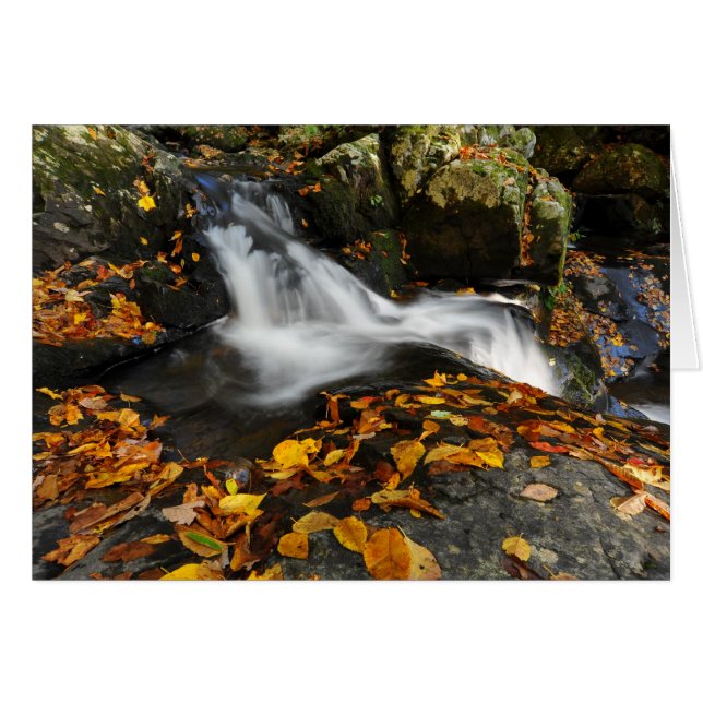 Verzachten water (Voorkant Horizontaal)