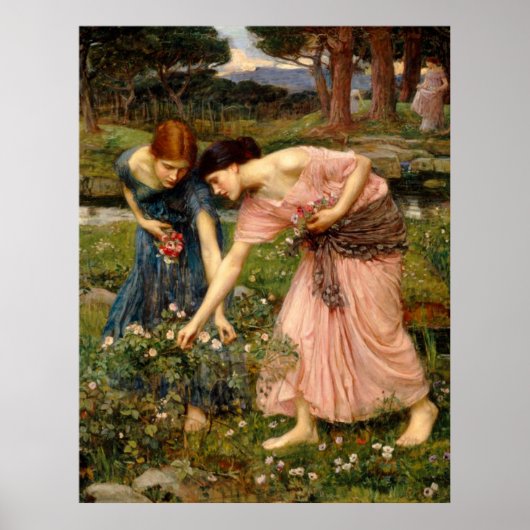 Verzamel Ye Rosebuds in mei - 1909 Poster (Voorkant)