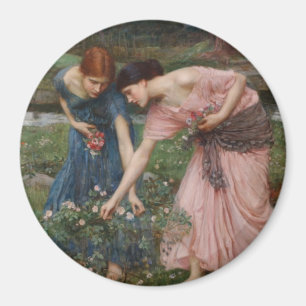 Verzamel Ye Rosebuds terwijl je mei Magneet